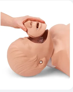 Cpr - Brad Adult CPR Manikin- R3000