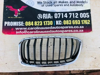 BMW F30 3-Series 320i left side kidney grill