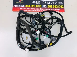 Ford Ecosport dashboard wiring/harness