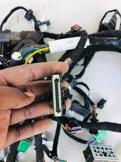 Ford Ecosport dashboard wiring/harness