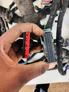 Ford Ecosport dashboard wiring/harness