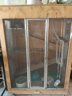 Chinchillas - Ad posted by Kim Van Den Ende