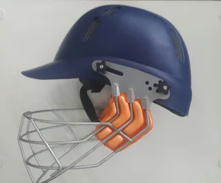 Test Cricket Helmets