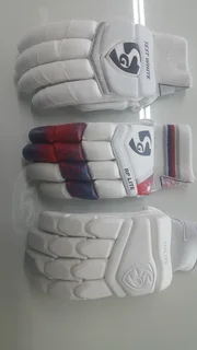 SG Cricket Bats and Gloves