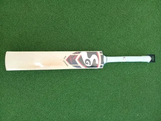 SG Cricket Bats and Gloves