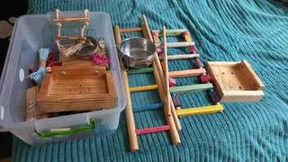 Birdy toys ladders and platforms