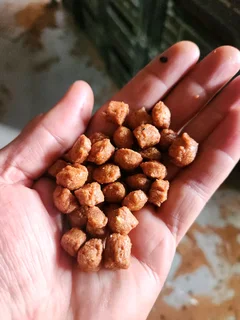 CLAUDY&#39;S DOG FOOD 20KG