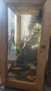 Enclosure for reptiles