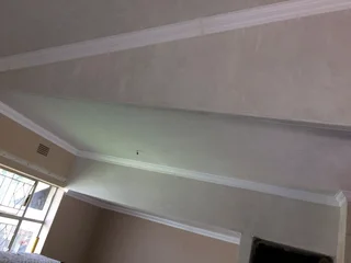 Seevices - Ad posted by Amos