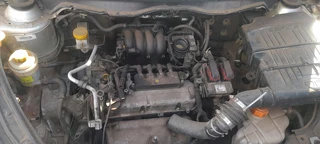 Stripping Tata Vista