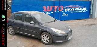 Stripping Peugeot 307