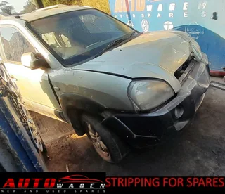 Stripping Hyundai Tucson