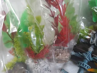 Fish Tank Accesorues