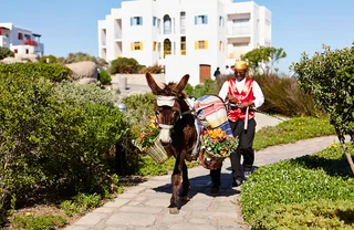 MYKONOS - UNIT 446 - HOLIDAY SPECIAL - GROUND FLOOR UNIT - POOL FACING - PRIVATE BRAAI - U/C PARKING