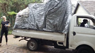 Removals furniture, transport, home and office moves etc