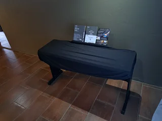 Yamaha DGX 660 portable piano and Stenor Violin