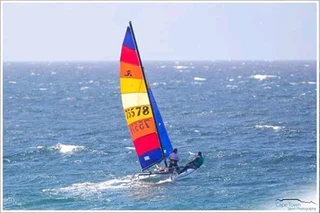 Hobie sailing lessons/trips