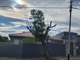 Cottage to Rent in Symhurst, Germiston