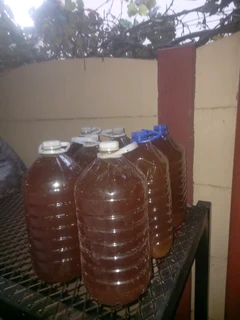 Earth Worms African Night Crawlers