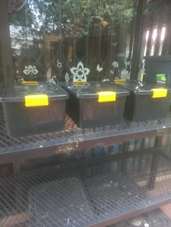 Red Kariba Worm Farm