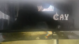 Aquarium Oasis: Complete Fish tank with vibrant blood parrots and more