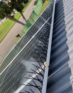 Bird deterrent products