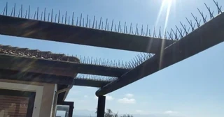 Bird deterrent products