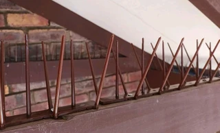 Bird deterrent products.