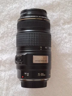 Canon EF-S 75-300mm f/4-5.6 IS USM AF Lens