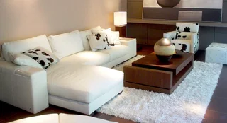 Carpet And Upholstery Cleaners