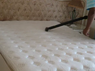 Carpet And Upholstery Cleaners