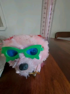 2 x Kids Electronic Walking Dogs