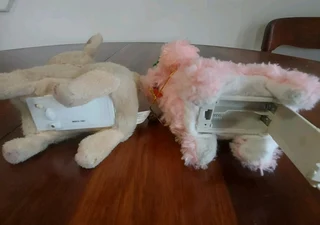 2 x Kids Electronic Walking Dogs