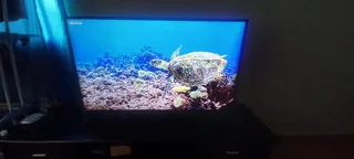  LG 50” 4K UHD Smart TV – Excellent Condition! Only R5 500 