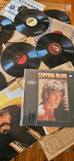 Big price DROP only R695 for all Vinyl record collection,total of 85 records