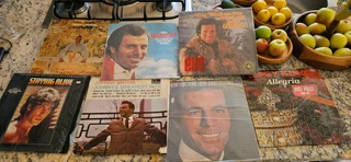 Big price DROP only R695 for all Vinyl record collection,total of 85 records