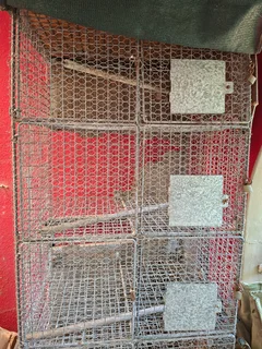 6-Segment Locker Bird Cage