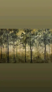 Wallpapers installations and supplies