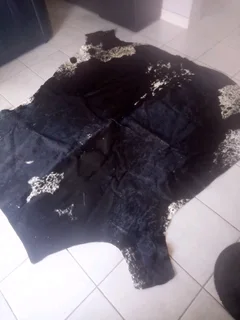 Nguni Hide Black and White