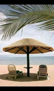 Thatch Roofs and all Roof Ieaks and Reno,s &#43;27737322227