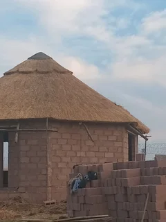 The Thatch Experts 0739930111