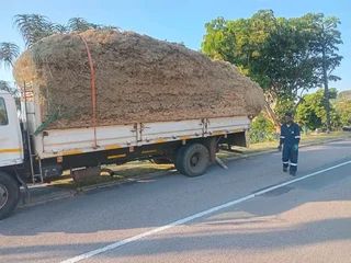 Thatch Roofs and Repairs 0739930111