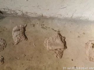 Taring,Paving, Gabion Baskets stones retaining walls, G lock Retaining walls ,borehole drilling.. 07