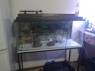 3ft fish tank with lid and stand