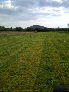 Farm for Sale in Honin