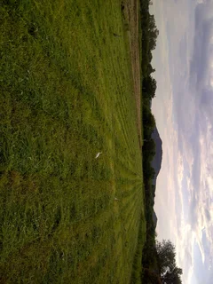 Farm for Sale in Honin