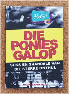 Ontdek die Binne-Speelgrond van Suid-Afrikaanse Bekendes