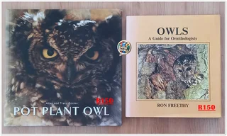Enchanting Owl Books for Sale!