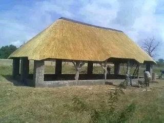 Thatch Lapa Specialists