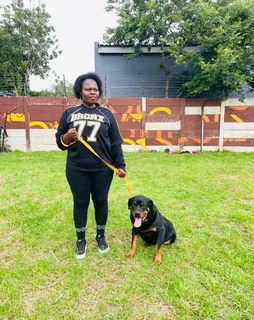 Obedience &amp; Attack Dog Training, Patrol Guard Dog Rentals